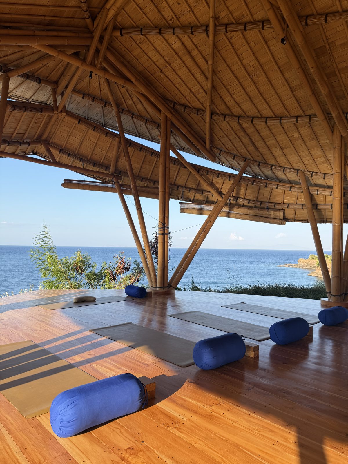Yoga Shala